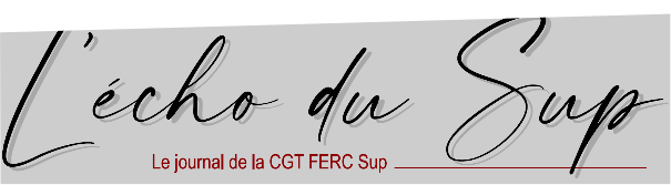Echo du Sup - Numéro 12 - Victoires et bilans de mandat de la CGT FERC Sup